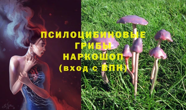 гидра Балахна